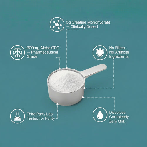 Veluoria™ Creatine with Alpha GPC