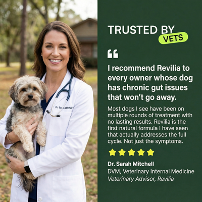 Revilia Chews