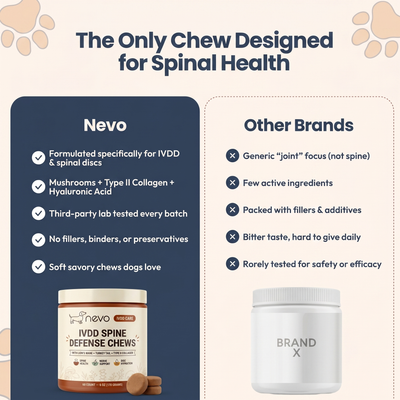 Nevo IVDD Spine Defense Chews