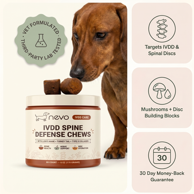 Nevo IVDD Spine Defense Chews